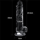 7.5” Clear Realistic Dildo with Suction Cup