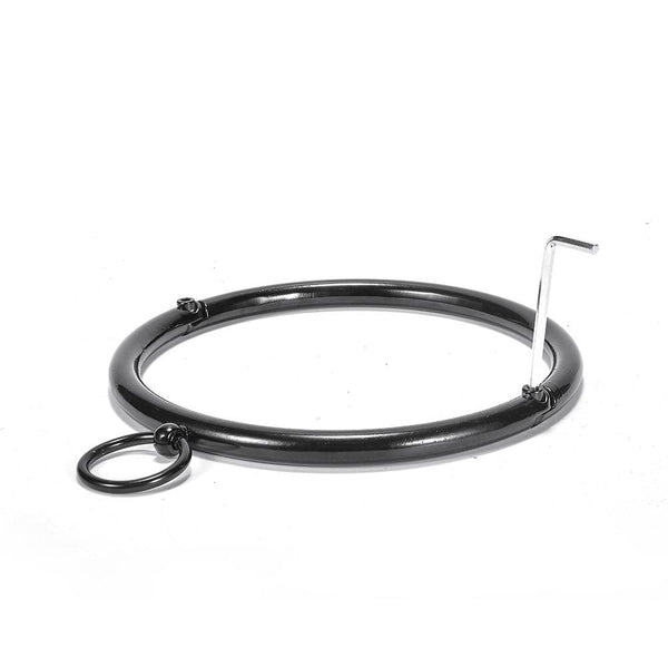 Neck to Hand Official Restraint Collar SM Toy